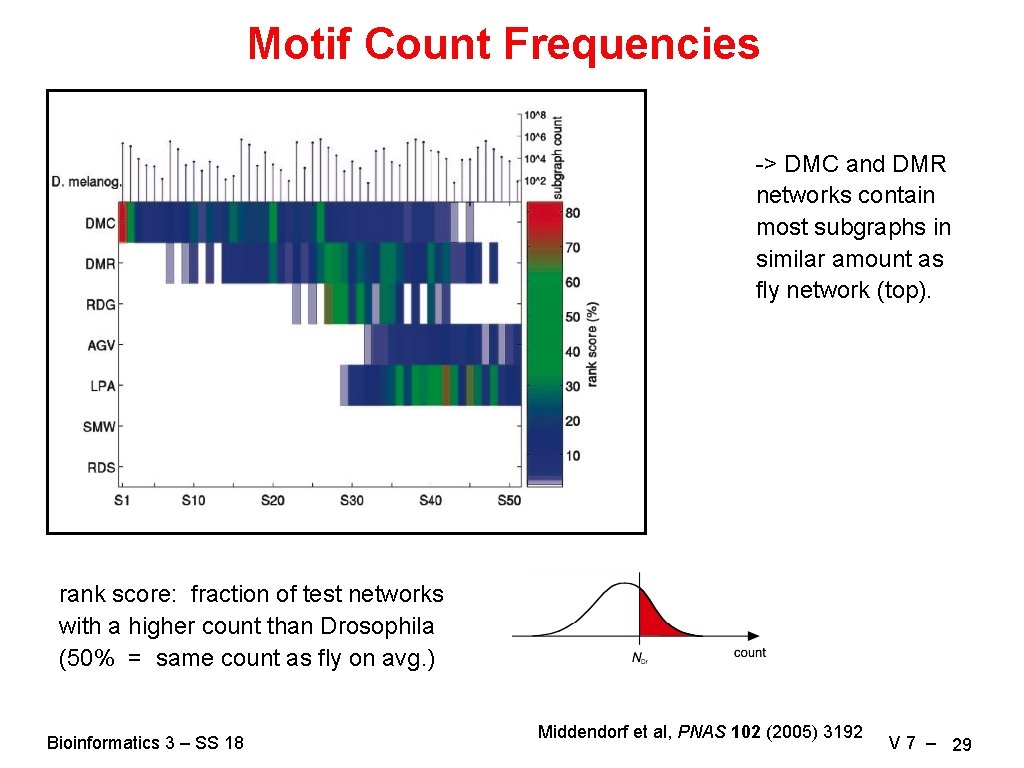Motif Count Frequencies -> DMC and DMR networks contain most subgraphs in similar amount