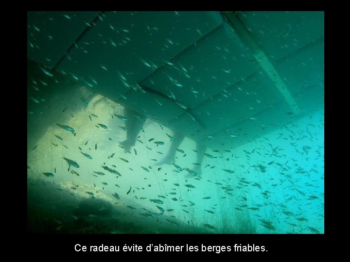 Ce radeau évite d’abîmer les berges friables. 