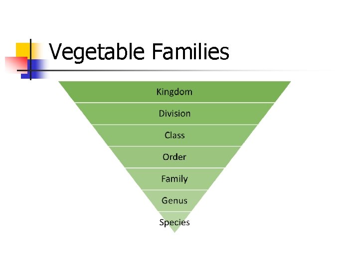 Vegetable Families 