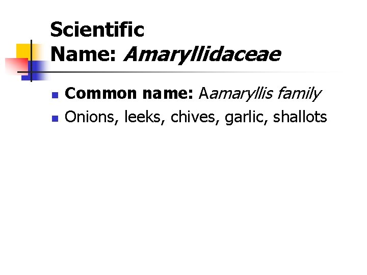 Scientific Name: Amaryllidaceae n n Common name: Aamaryllis family Onions, leeks, chives, garlic, shallots