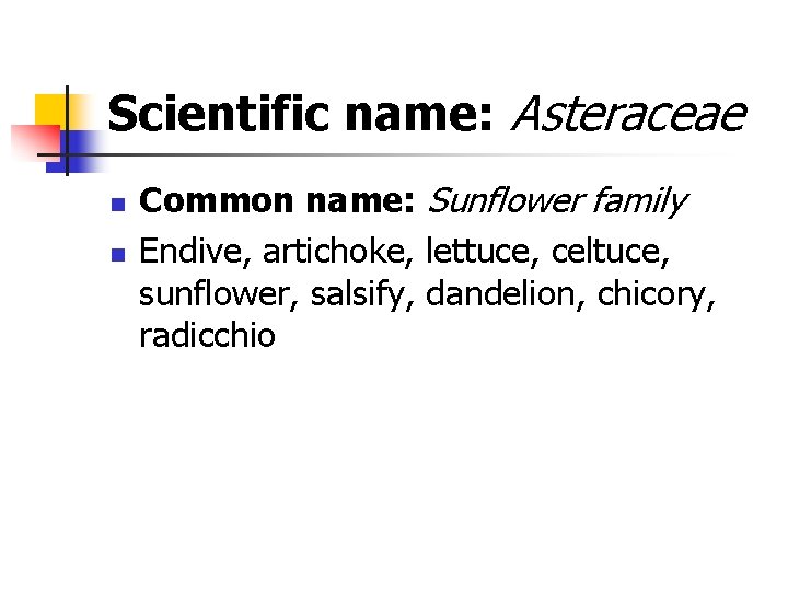 Scientific name: Asteraceae n n Common name: Sunflower family Endive, artichoke, lettuce, celtuce, sunflower,