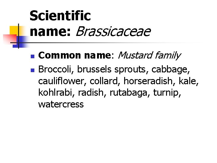 Scientific name: Brassicaceae n n Common name: Mustard family Broccoli, brussels sprouts, cabbage, cauliflower,