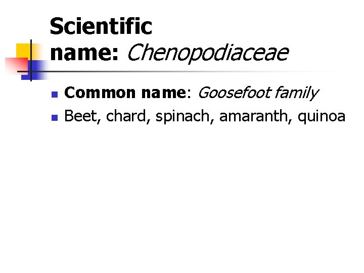 Scientific name: Chenopodiaceae n n Common name: Goosefoot family Beet, chard, spinach, amaranth, quinoa