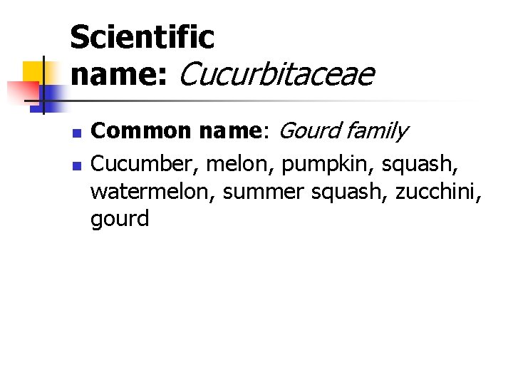 Scientific name: Cucurbitaceae n n Common name: Gourd family Cucumber, melon, pumpkin, squash, watermelon,