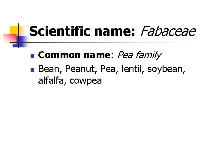 Scientific name: Fabaceae n n Common name: Pea family Bean, Peanut, Pea, lentil, soybean,