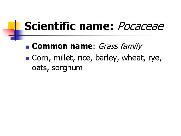 Scientific name: Pocaceae n n Common name: Grass family Corn, millet, rice, barley, wheat,