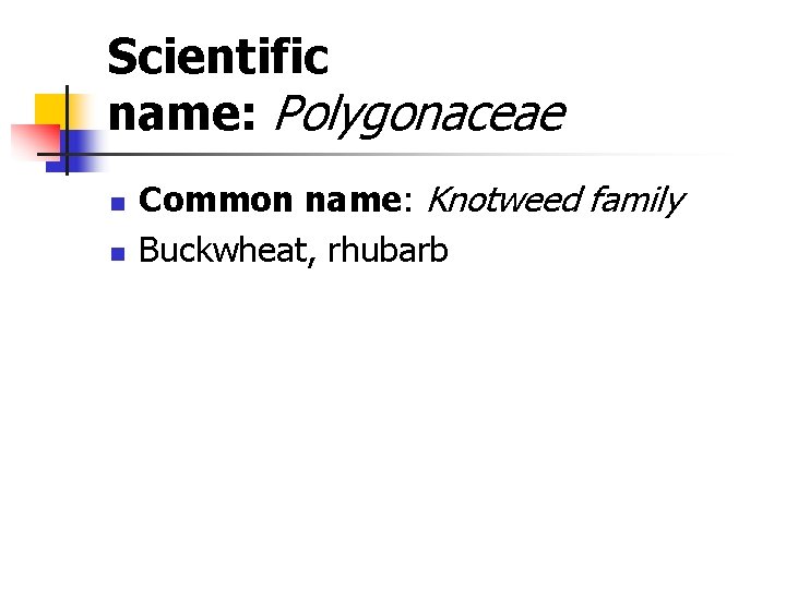 Scientific name: Polygonaceae n n Common name: Knotweed family Buckwheat, rhubarb 