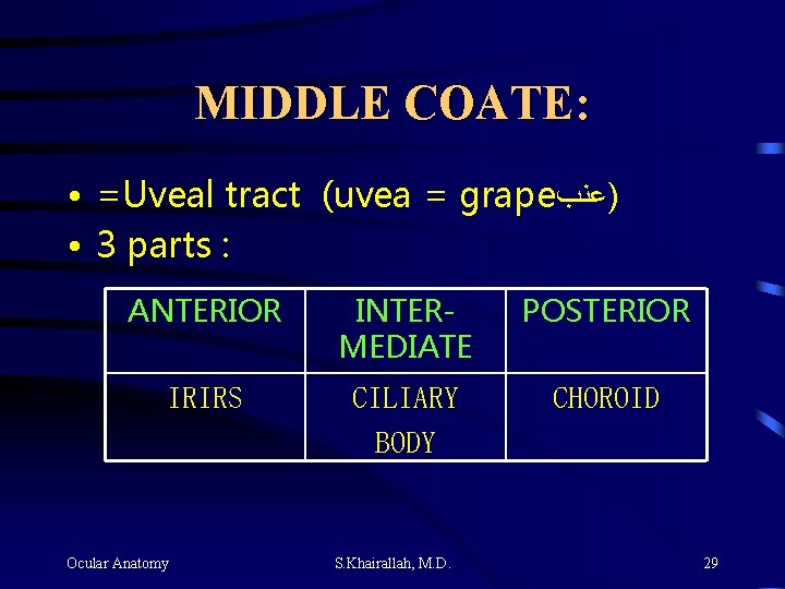 MIDDLE COATE: • =Uveal tract (uvea = grape )ﻋﻨﺐ • 3 parts : ANTERIOR MIDDLE COATE: • =Uveal tract (uvea = grape )ﻋﻨﺐ • 3 parts : ANTERIOR