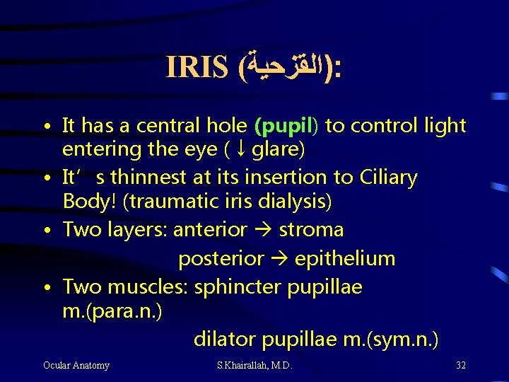 IRIS ( )ﺍﻟﻘﺰﺣﻴﺔ : • It has a central hole (pupil) to control light IRIS ( )ﺍﻟﻘﺰﺣﻴﺔ : • It has a central hole (pupil) to control light
