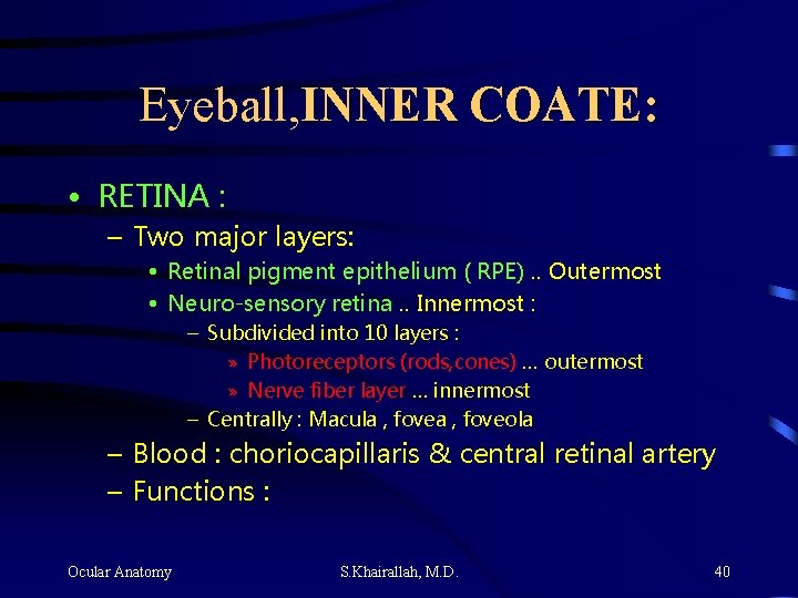 Eyeball, INNER COATE: • RETINA : – Two major layers: • Retinal pigment epithelium