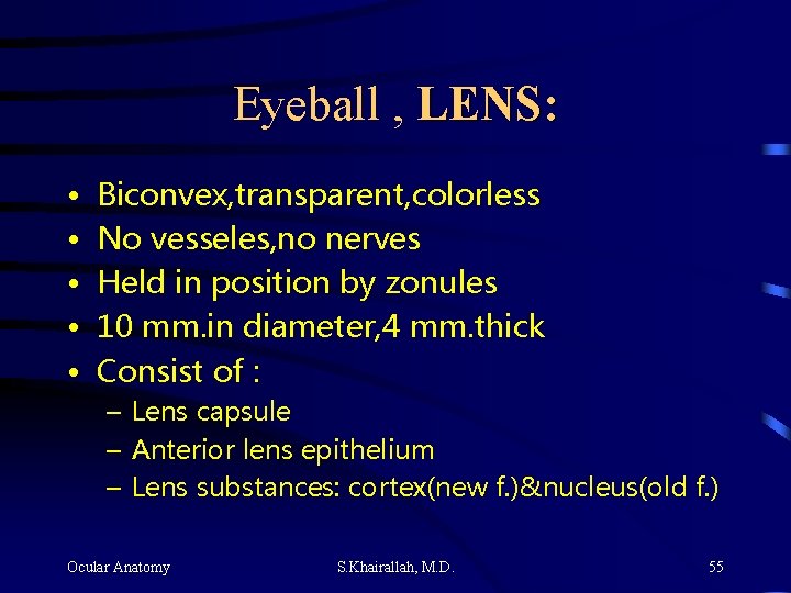 Eyeball , LENS: • • • Biconvex, transparent, colorless No vesseles, no nerves Held Eyeball , LENS: • • • Biconvex, transparent, colorless No vesseles, no nerves Held