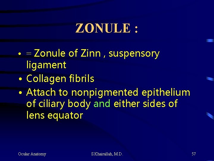ZONULE : • = Zonule of Zinn , suspensory ligament • Collagen fibrils •