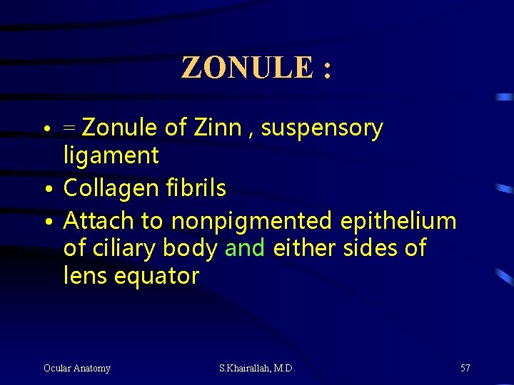 ZONULE : • = Zonule of Zinn , suspensory ligament • Collagen fibrils • ZONULE : • = Zonule of Zinn , suspensory ligament • Collagen fibrils •