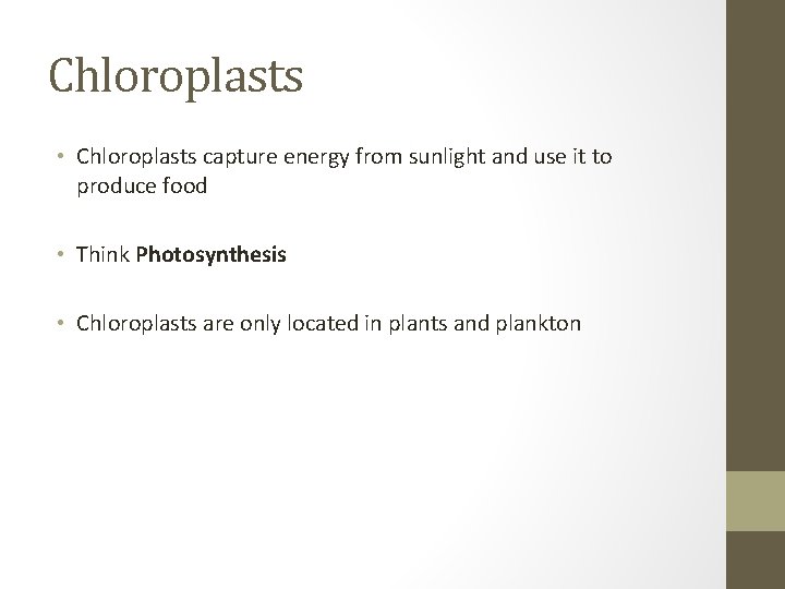 Chloroplasts • Chloroplasts capture energy from sunlight and use it to produce food • Chloroplasts • Chloroplasts capture energy from sunlight and use it to produce food •