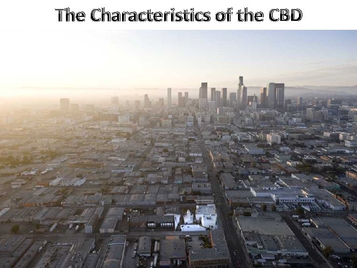 The Characteristics of the CBD 