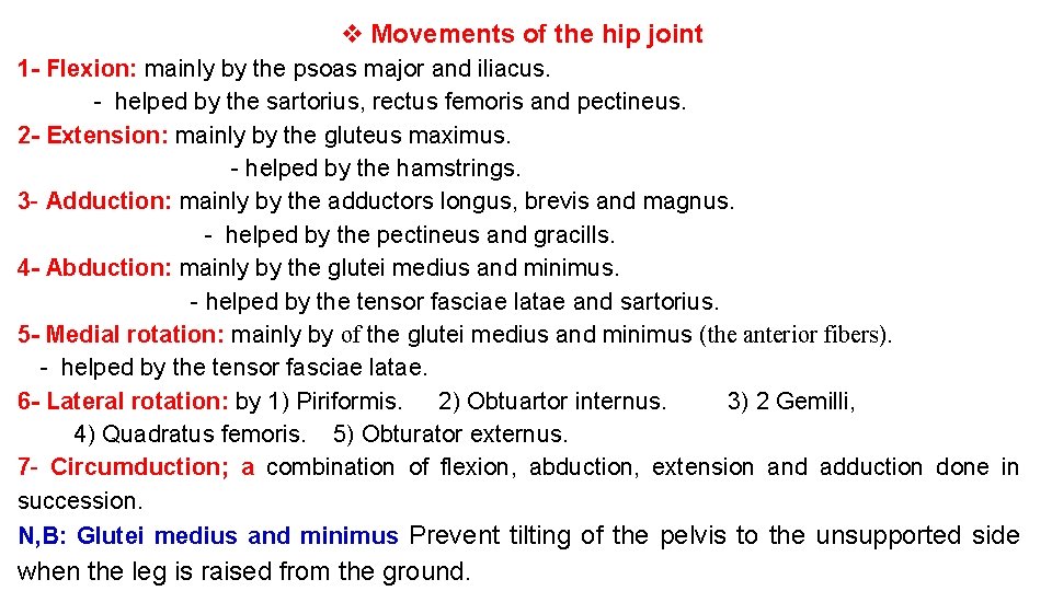 v Movements of the hip joint 1 - Flexion: mainly by the psoas major