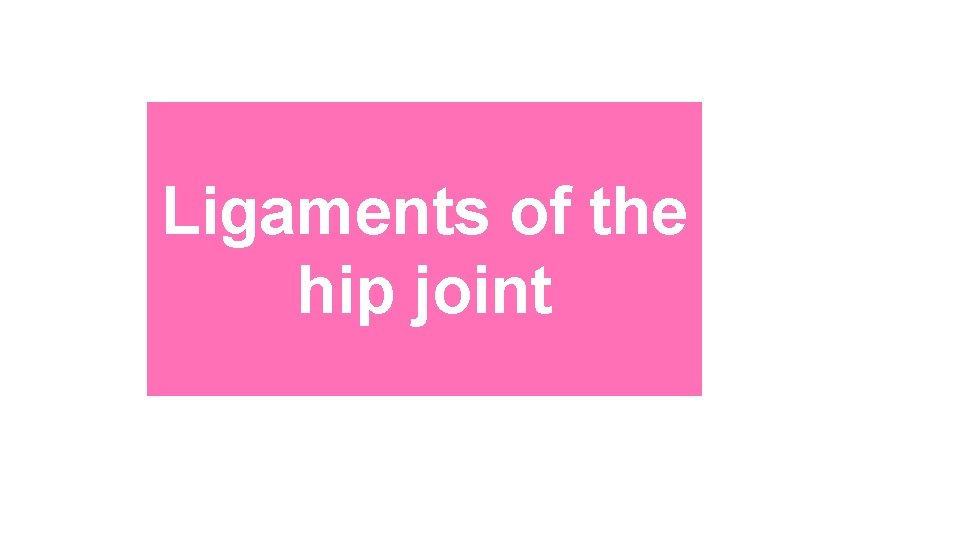 Ligaments of the hip joint 