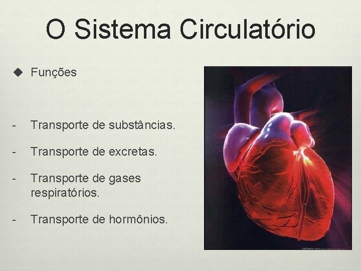 O Sistema Circulatório u Funções - Transporte de substâncias. - Transporte de excretas. -