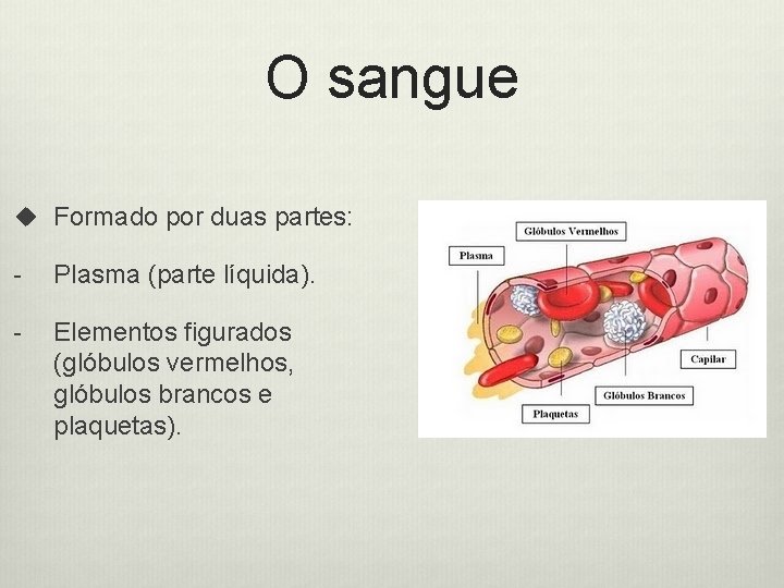 O sangue u Formado por duas partes: - Plasma (parte líquida). - Elementos figurados