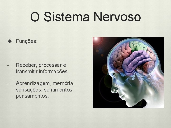 O Sistema Nervoso u Funções: - Receber, processar e transmitir informações. - Aprendizagem, memória,