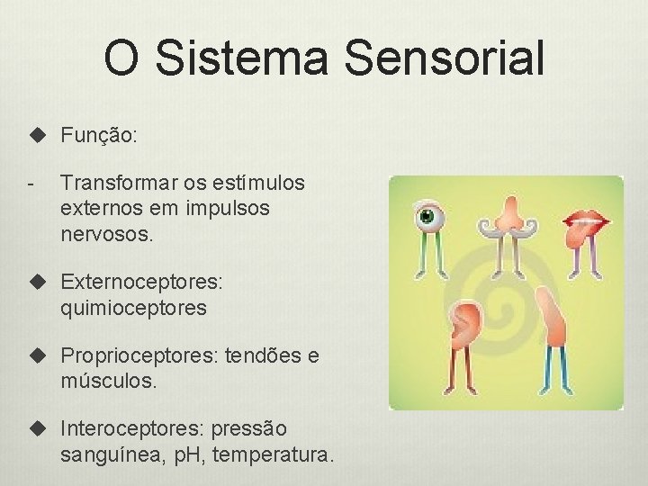 O Sistema Sensorial u Função: - Transformar os estímulos externos em impulsos nervosos. u