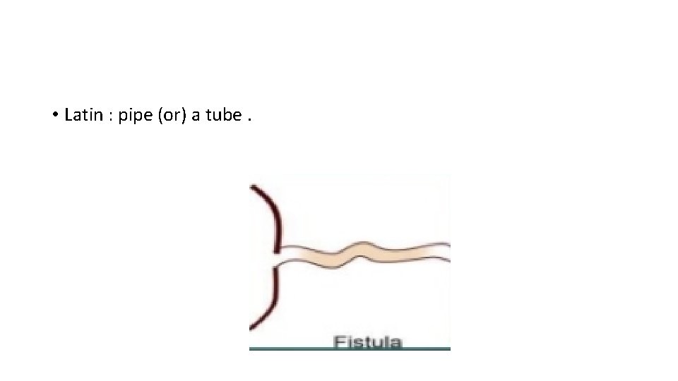  • Latin : pipe (or) a tube. 