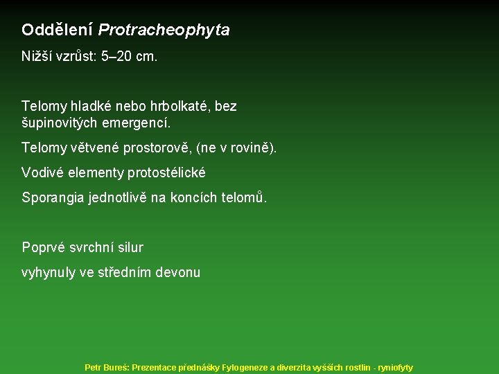 Oddělení Protracheophyta Nižší vzrůst: 5– 20 cm. Telomy hladké nebo hrbolkaté, bez šupinovitých emergencí.