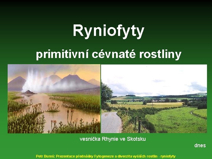 Ryniofyty primitivní cévnaté rostliny vesnička Rhynie ve Skotsku dnes Petr Bureš: Prezentace přednášky Fylogeneze