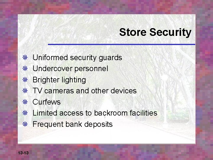 Store Security ¯ ¯ ¯ ¯ 13 -13 Uniformed security guards Undercover personnel Brighter