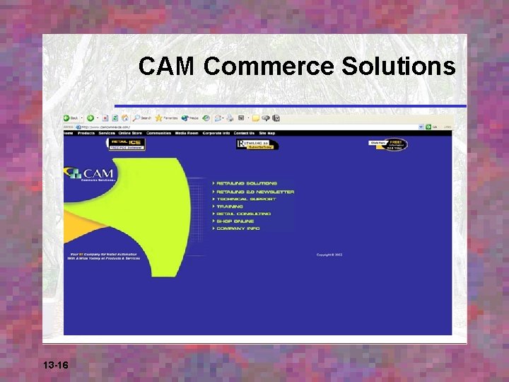 CAM Commerce Solutions 13 -16 