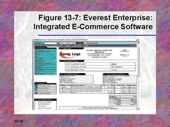 Figure 13 -7: Everest Enterprise: Integrated E-Commerce Software 13 -18 