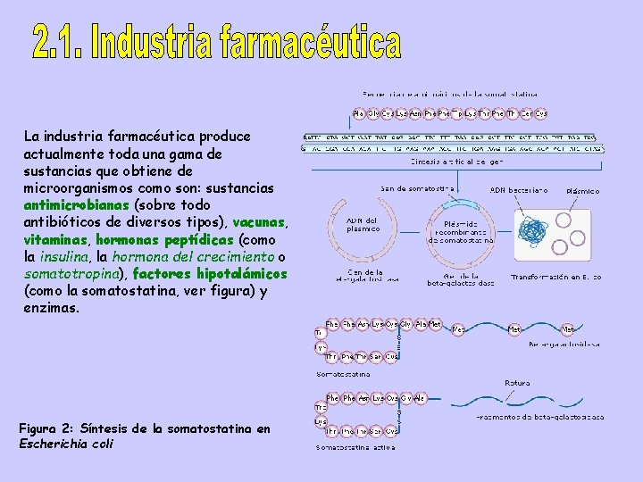 La industria farmacéutica produce actualmente toda una gama de sustancias que obtiene de microorganismos