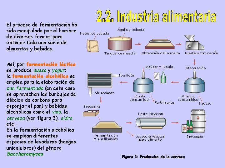 El proceso de fermentación ha sido manipulado por el hombre de diversas formas para