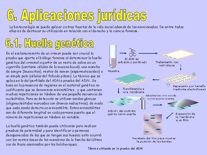 La biotecnología se puede aplicar a otras facetas de la vida social además de