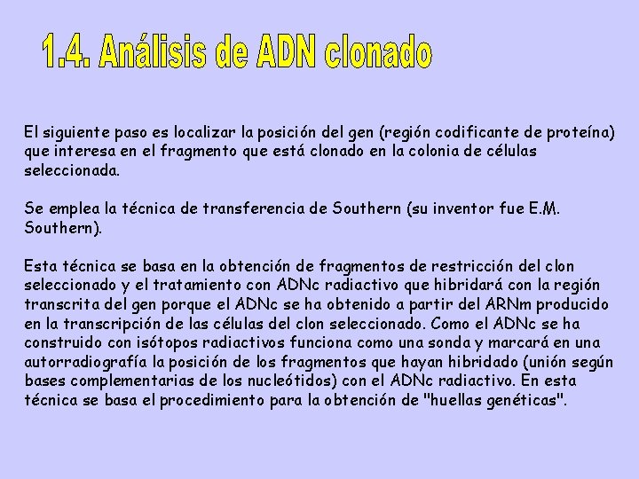 El siguiente paso es localizar la posición del gen (región codificante de proteína) que