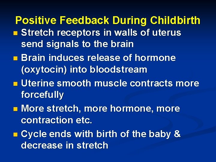 Positive Feedback During Childbirth Stretch receptors in walls of uterus send signals to the Positive Feedback During Childbirth Stretch receptors in walls of uterus send signals to the