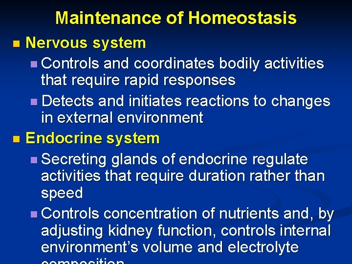 Maintenance of Homeostasis Nervous system n Controls and coordinates bodily activities that require rapid Maintenance of Homeostasis Nervous system n Controls and coordinates bodily activities that require rapid