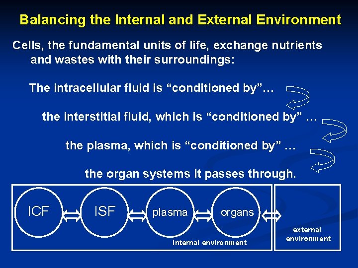 Balancing the Internal and External Environment Cells, the fundamental units of life, exchange nutrients Balancing the Internal and External Environment Cells, the fundamental units of life, exchange nutrients