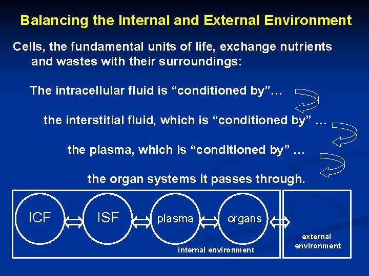 Balancing the Internal and External Environment Cells, the fundamental units of life, exchange nutrients