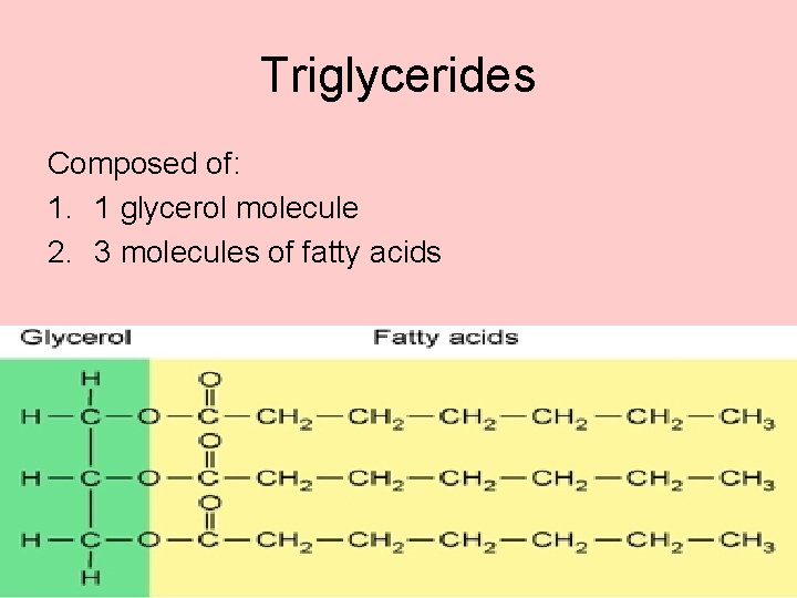 Triglycerides Composed of: 1. 1 glycerol molecule 2. 3 molecules of fatty acids 