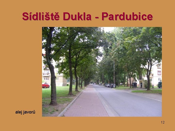 Sídliště Dukla - Pardubice alej javorů 12 