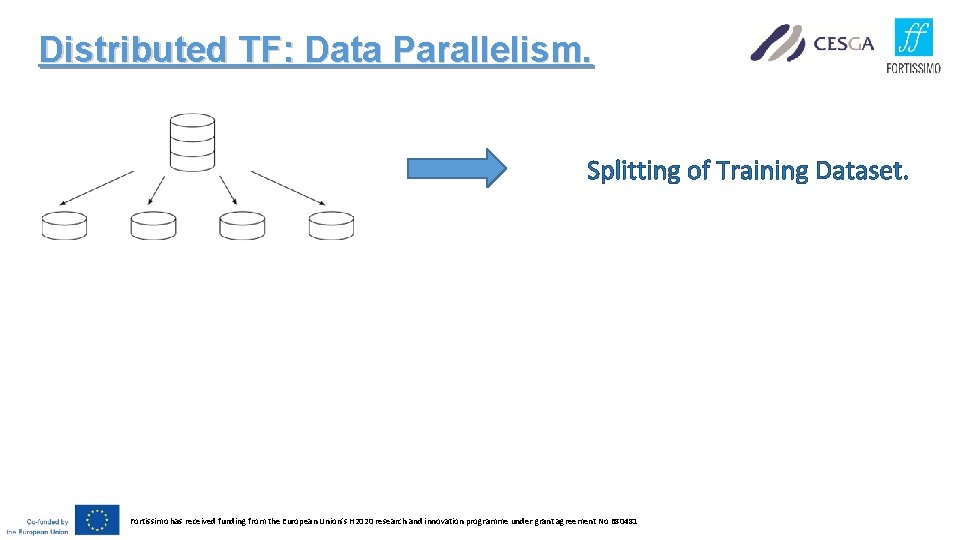 Distributed TF: Data Parallelism. Splitting of Training Dataset. Fortissimo has received funding from the