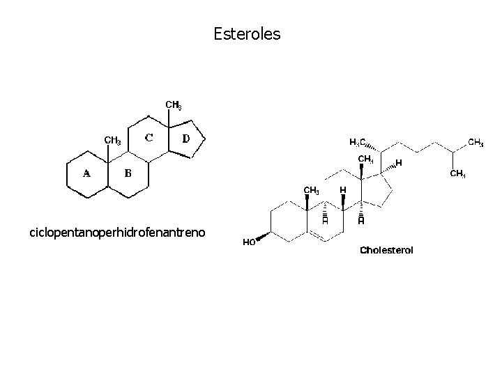 Esteroles ciclopentanoperhidrofenantreno 