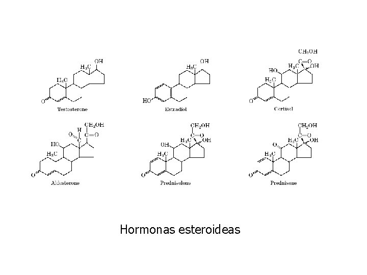 Hormonas esteroideas 