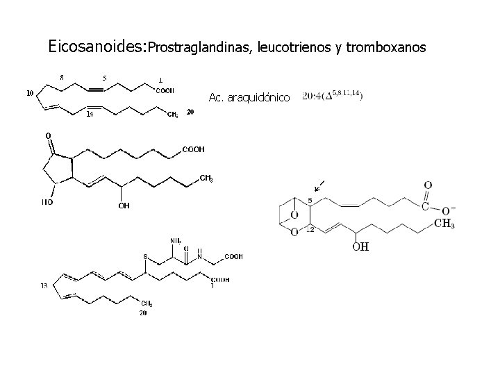 Eicosanoides: Prostraglandinas, leucotrienos y tromboxanos Ac. araquidónico 