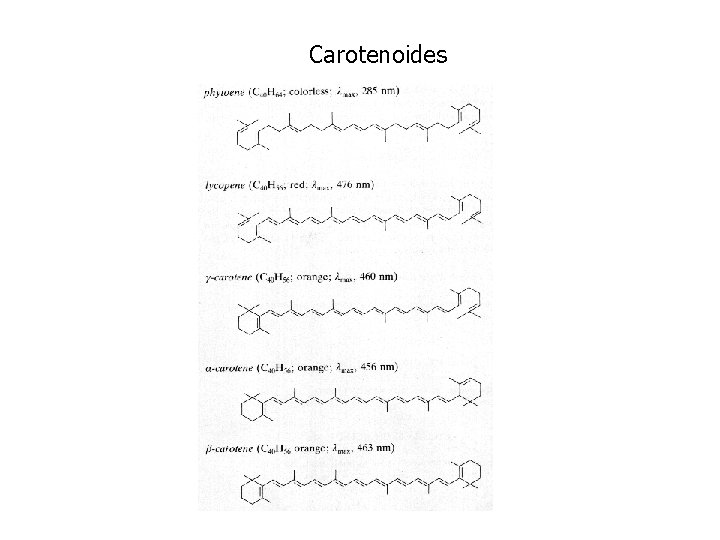 Carotenoides 