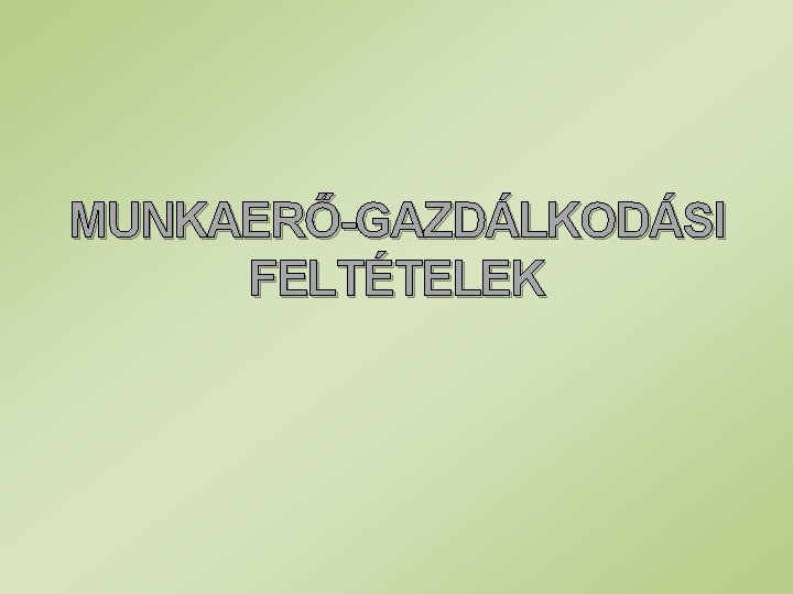 MUNKAERŐ-GAZDÁLKODÁSI FELTÉTELEK 