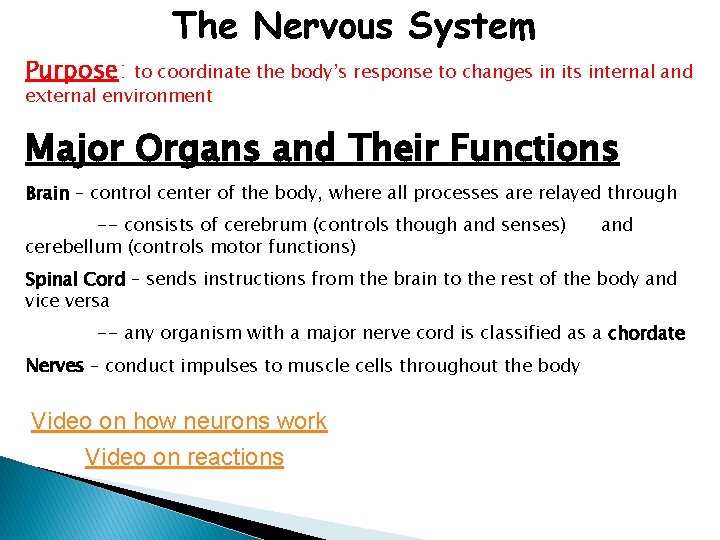The Nervous System Purpose: to coordinate the body’s response to changes in its internal