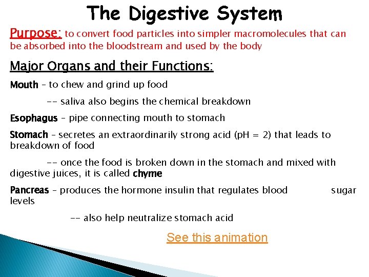 The Digestive System Purpose: to convert food particles into simpler macromolecules that can be