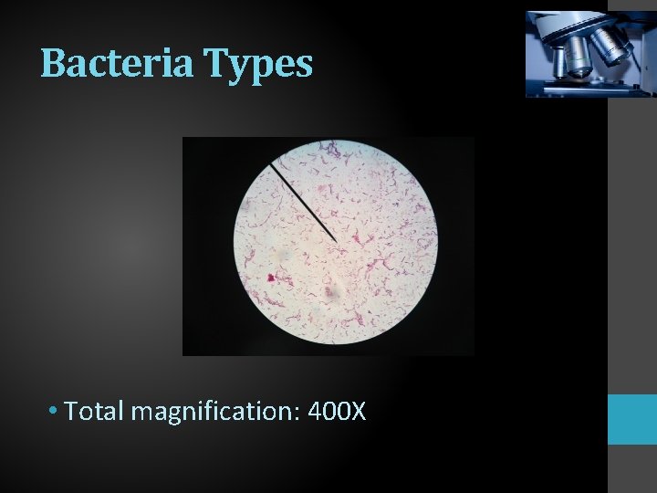 Microscope Kingdoms Lab Directions Use the following Power